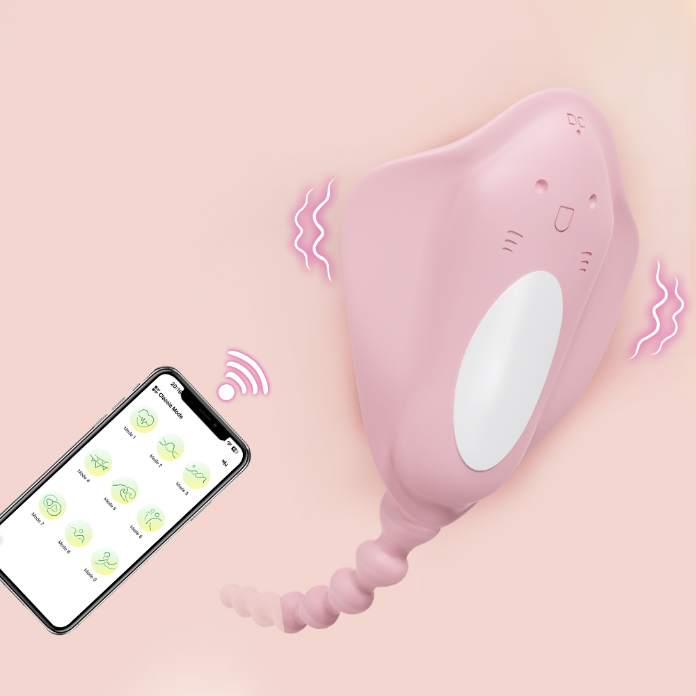 APP Wireless Bluetooth Control - Power Tools App recension och pris