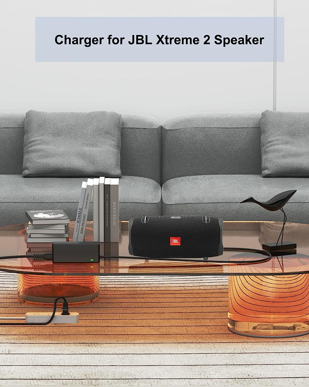 19V Charger Power Supply for X - Xtreme Power Tools recension och pris